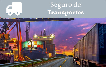 ficha-seguro-transportes